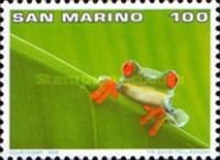 Red-eyed Leaf Frog (Agalychnis callidryas)