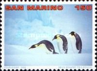 King Penguin (Aptenodytes patagonicus)
