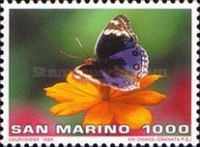 Emperor (Apatura sp.)