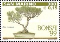 Olea europaea