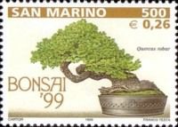 Quercus robur