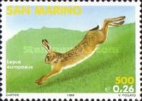 European Hare (Lepus europaeus)