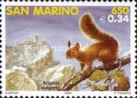 Eurasian Red Squirrel (Sciurus vulgaris)