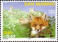 Red Fox (Vulpes vulpes)