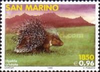 Crested Porcupine (Hystrix cristata)