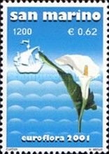 Zantedeschia aethiopica