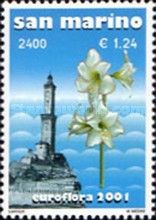 Amaryllis hippeastrum