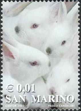 Rabbits