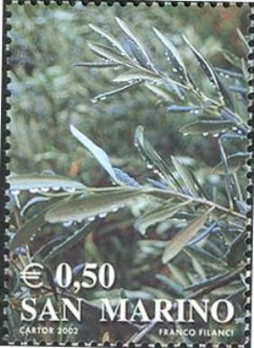Olive branches