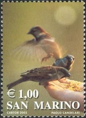 Sparrows
