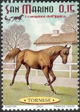 "Tornese" (Equus ferus caballus)