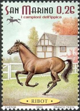 "Ribot" (Equus ferus caballus)