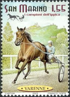 "Varenne" (Equus ferus caballus)