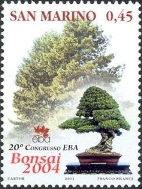 Bonsai