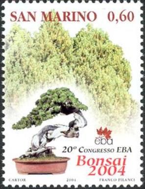 Bonsai