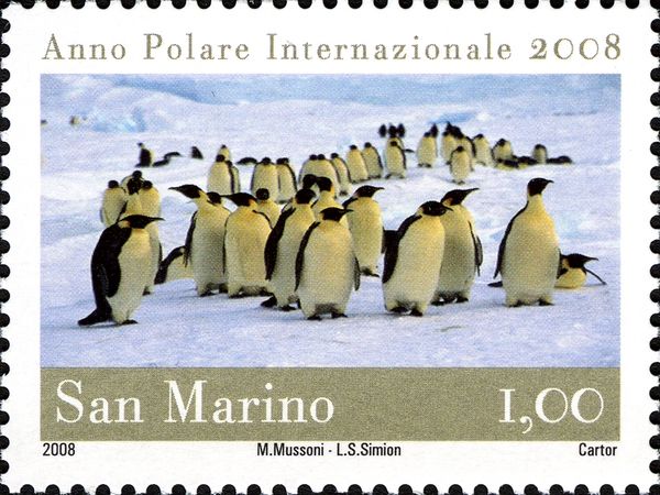 International Polar Year 2008