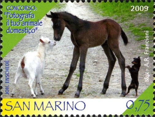 Goat (Capra aegagrus hircus), Horse (Equus ferus caballus), 
