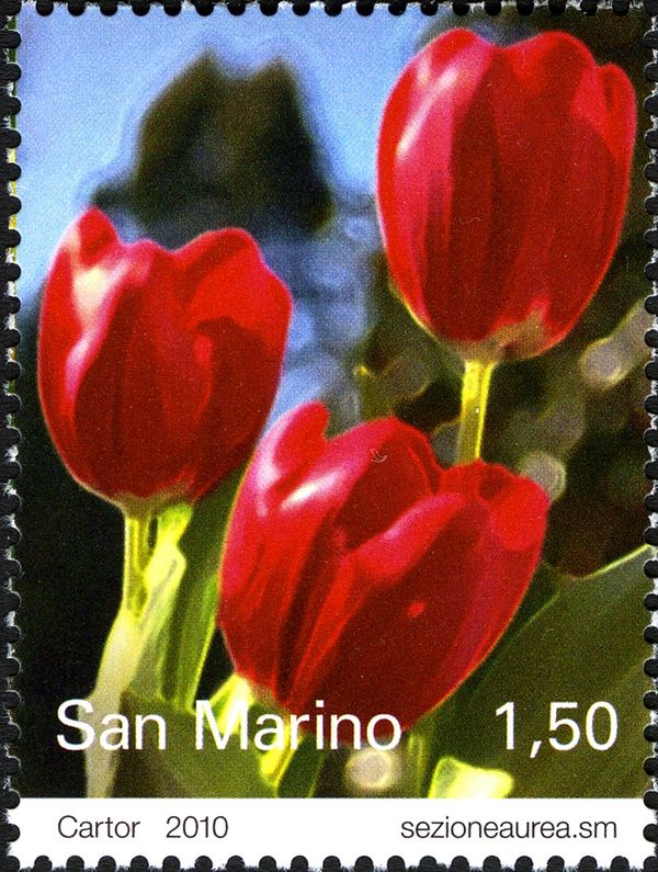 Tulips