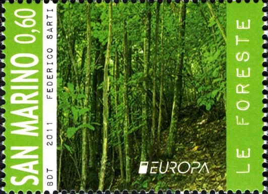 The Forest by Federico Sarti
