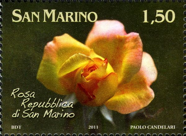 Rosa repubblica di San Marino