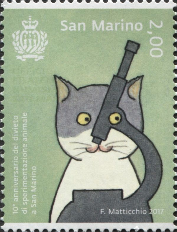 Cat behind a microscope