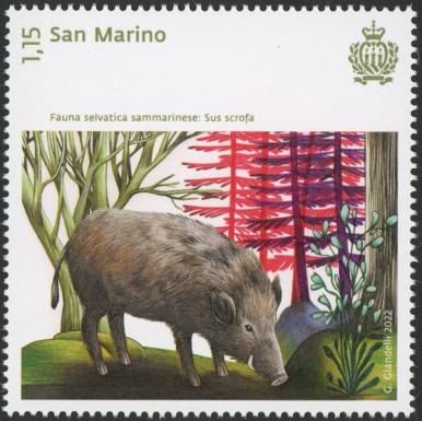 Boar (Sus Scrofa)