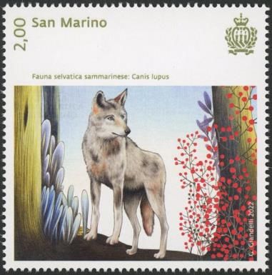 Wolf (Canis lupus)