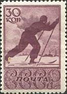 Cross-country Skiing