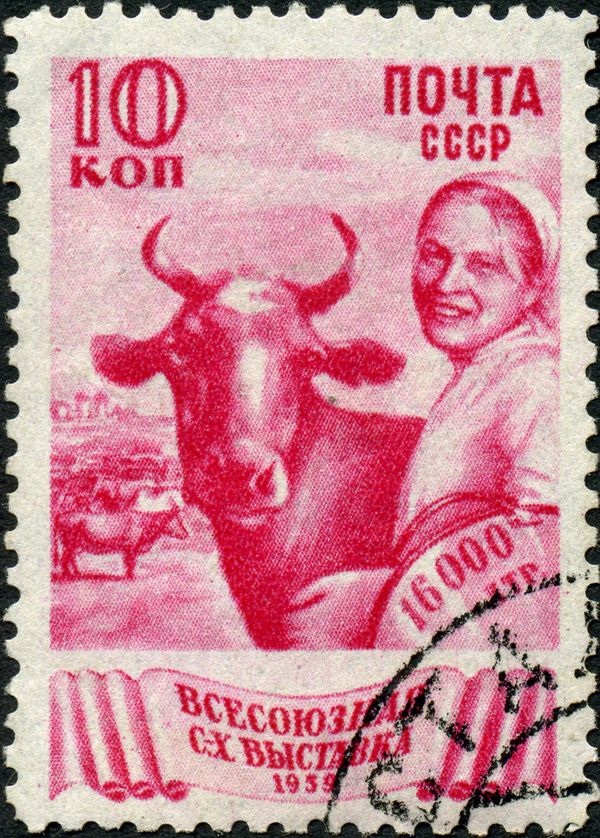 Dairy Industry