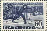 Cross Country Skiing