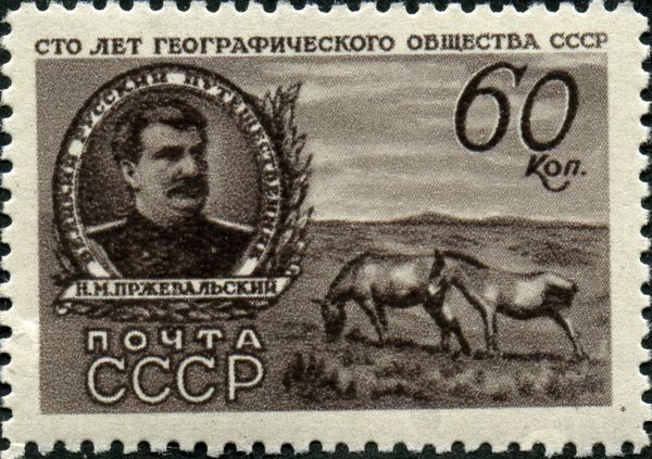 Nikolay Przhevalsky, Przewalski's Horse (Equus przewalskii)