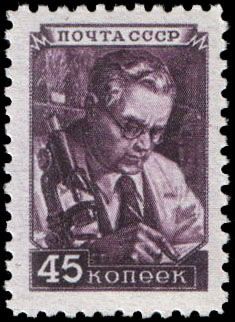 Scientist at Microscope