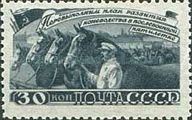 Horse Breeding