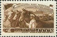 Horse Breeding