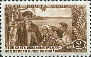 Forester and Young Pioneers