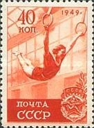 Gymnastics - Female Gymnast on Rings
