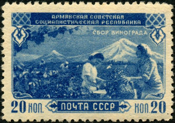 Grape Harvest