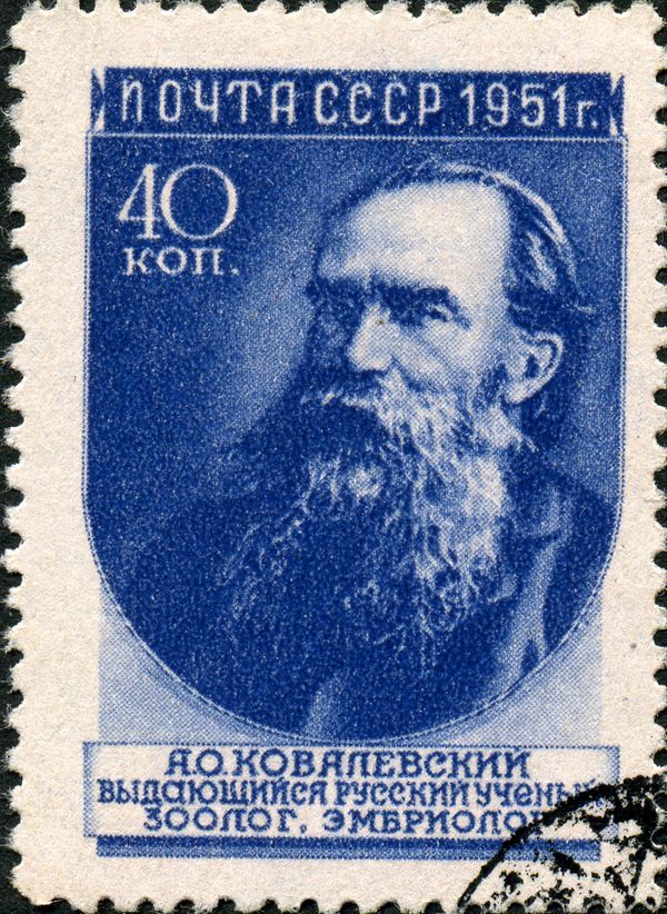 Alexander O. Kovalevsky (1840-1901), Russian Biologist