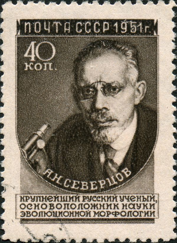 Alexey N. Severtsov (1866-1936), Russian Biologist