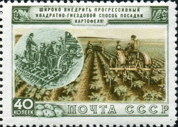 Planting Potatoes