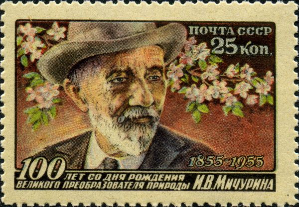 Ivan V. Michurin (1855-1935), Russian Plant Breeder