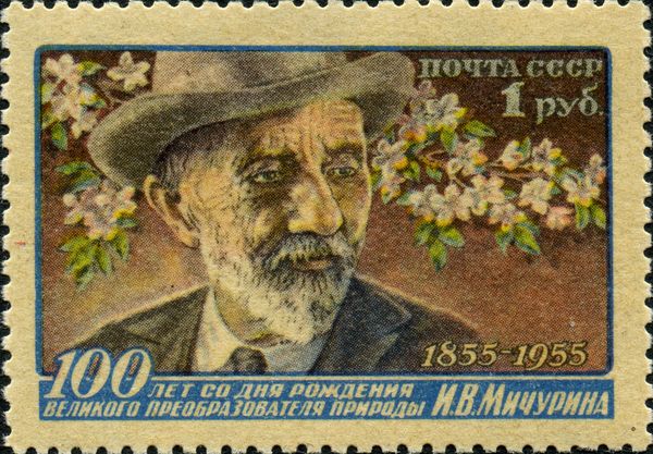 Ivan V. Michurin (1855-1935), Russian Plant Breeder