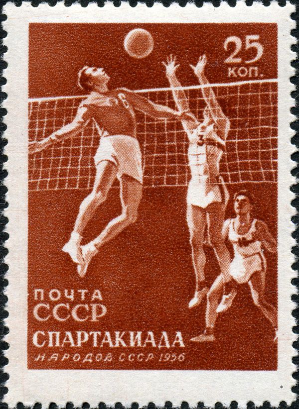 Volleyball