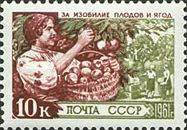 Apples