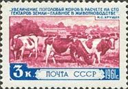 Herd of Cattle