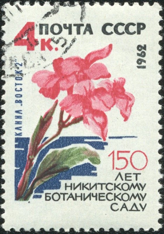 "Vostok-2" Canna