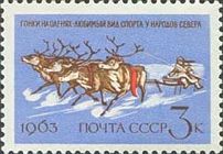 Lapp Reindeer-racing