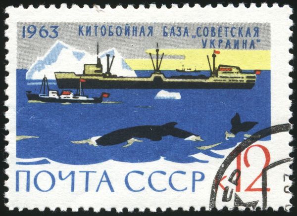Whaling Ship "Sovetskaya Ukraina", Iceberg, Whales
