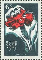 Carnation
