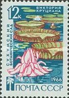Santa Cruz Water Lily (Victoria cruziana)- Виктория круциана